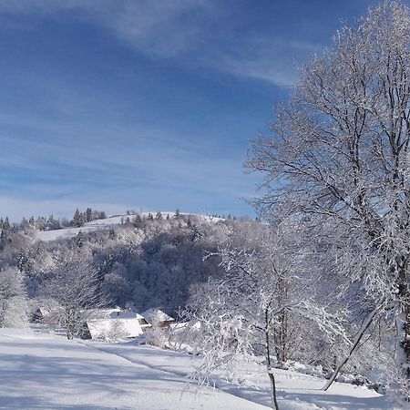 Верховинський Котедж Bukovets ภายนอก รูปภาพ