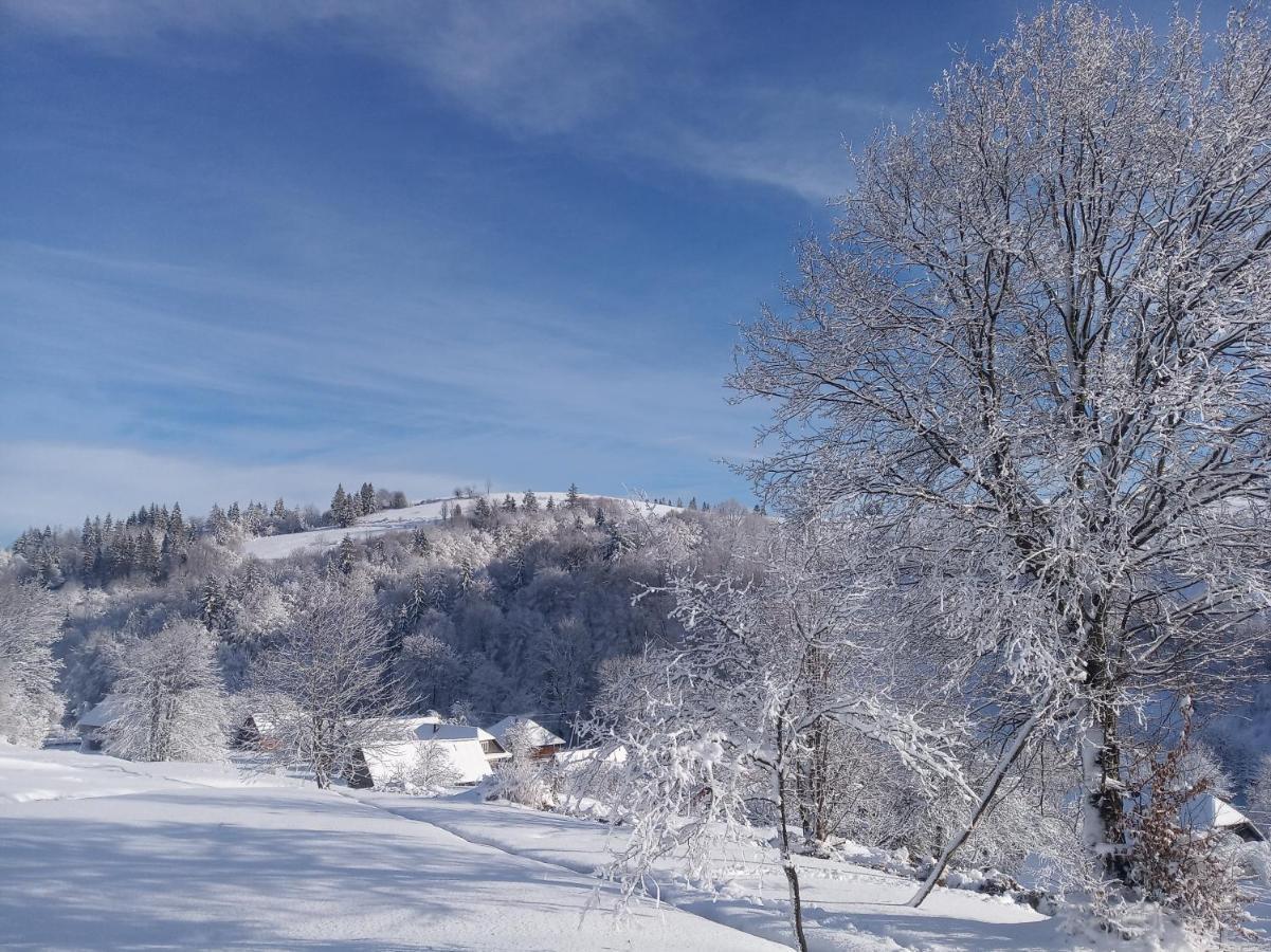 Верховинський Котедж Bukovets ภายนอก รูปภาพ