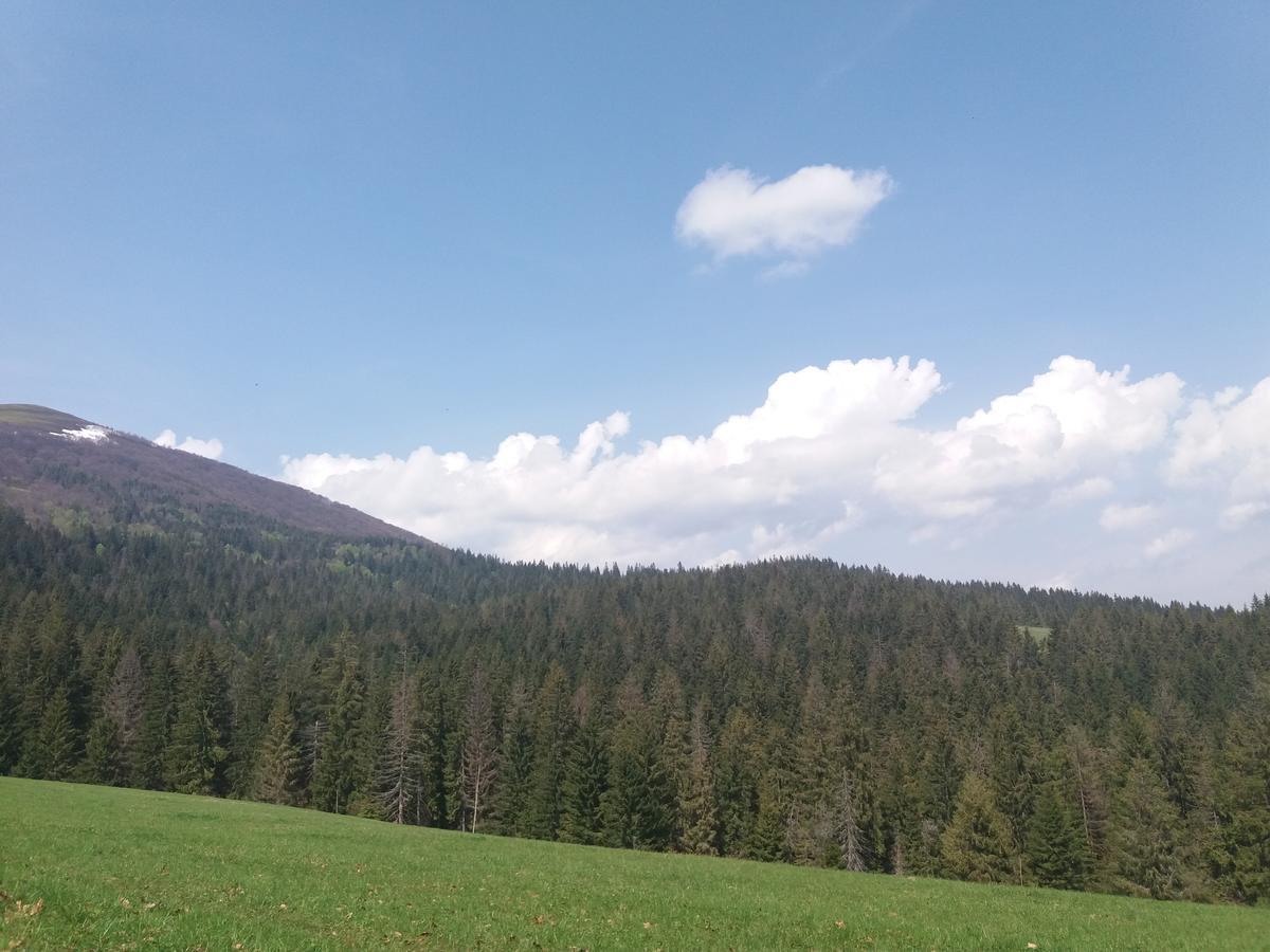 Верховинський Котедж Bukovets ภายนอก รูปภาพ