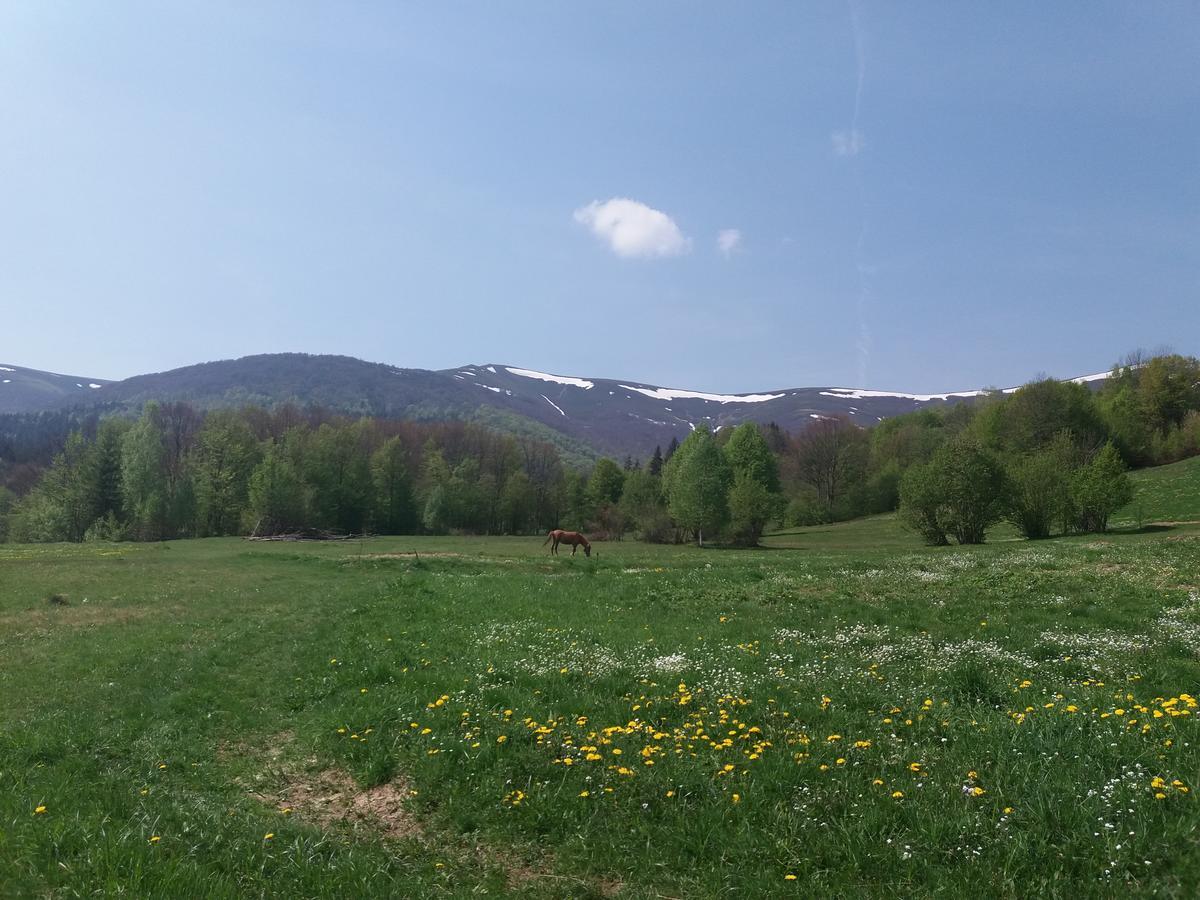 Верховинський Котедж Bukovets ภายนอก รูปภาพ